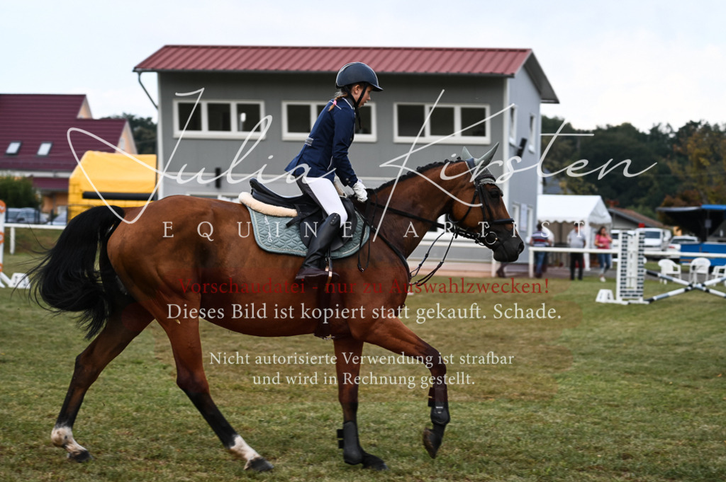 DSC_5672-2 | Pferde- und Turnierfotografie in Westsachsen. Pferdeportraits, Auftragszeichnungen und intuitive Kunst.