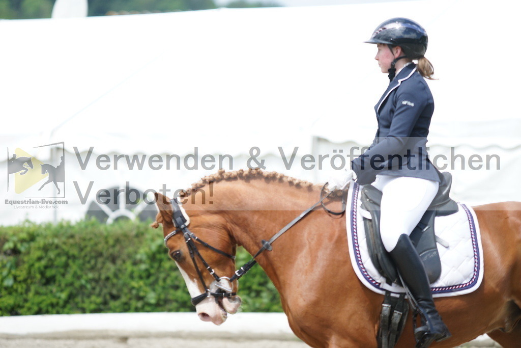 DSC04716 | equestrian-live-com