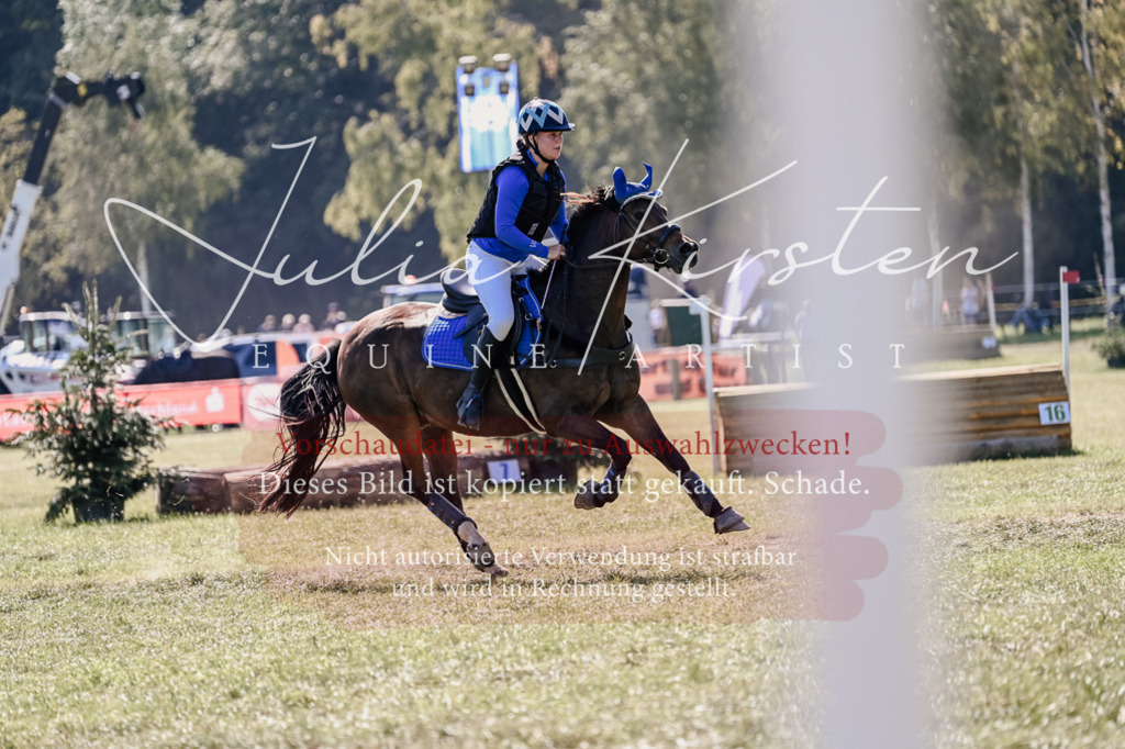 DSC_3094 | Pferde- und Turnierfotografie in Westsachsen. Pferdeportraits, Auftragszeichnungen und intuitive Kunst.
