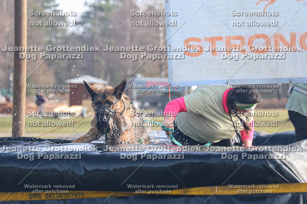 Dog Paparazzi - Strongdog North Mrz26-524 | Dog Paparazzi Jeanette Grottendiek Fotografie & Videografie - Realisiert mit Pictrs.com