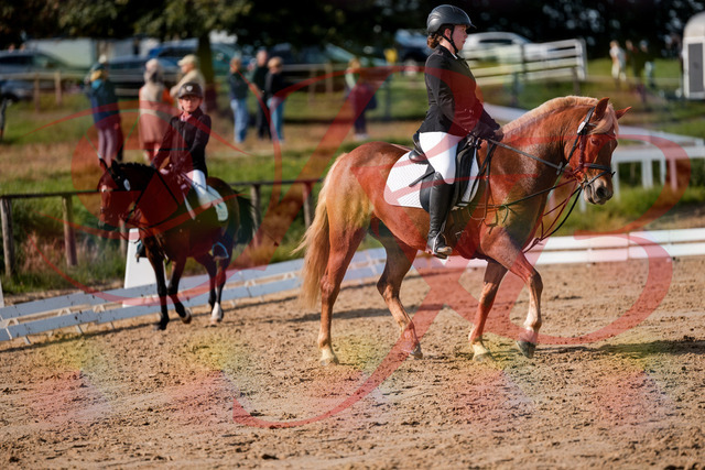 2026_10_03_Siefer-Hof_122132_Z63_45166772 | Professionelle Reitsport-, Turnier- und Eventfotografie von Robert Broda. Galerien mit ausgewählten und bearbeiteten Bildern direkt online ansehen und bestellen.