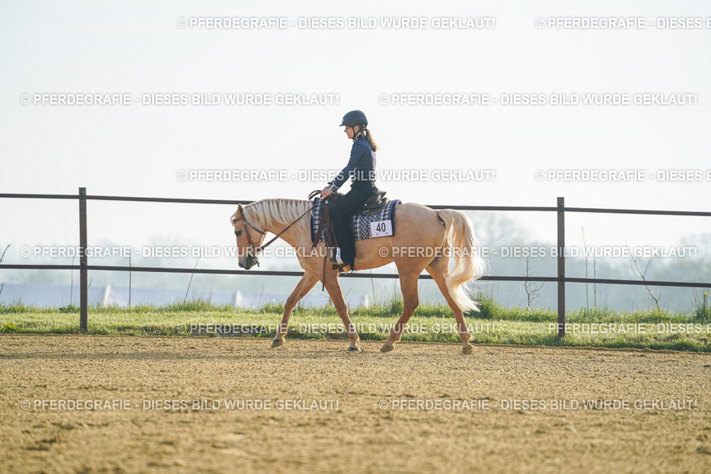 DSC09982 | Pferdegrafie