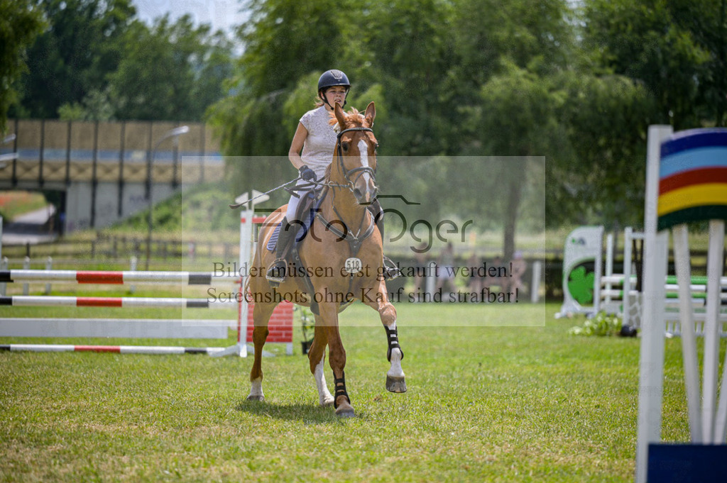 Reitturnier Voxtrup | Entdecke hochwertige Reitturnierfotos von Foto Oger. Professionell, emotional und authentisch – jetzt Lieblingsmomente im Shop bestellen.Deutschlandweite Turnierfotografie. - Realisiert mit Pictrs.com
