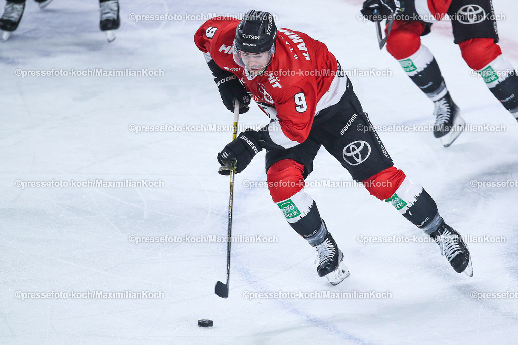 KoeDEL14032402075 | 14.03.2024, Köln, Eishockey, Penny DEL, Pre-Playoffs Spieltag 3, Lanxess-Arena, Kölner Haie - ERC Ingolstadt: Maximilian Kammerer (Kölner Haie)