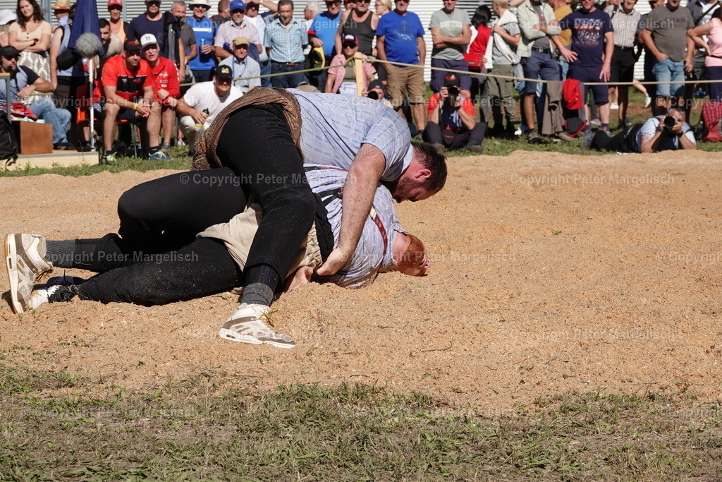 DSC01650 | Schwingen - Realisiert mit Pictrs.com