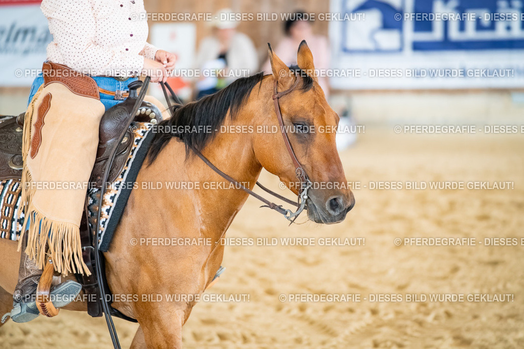 DSC07338 | Pferdegrafie