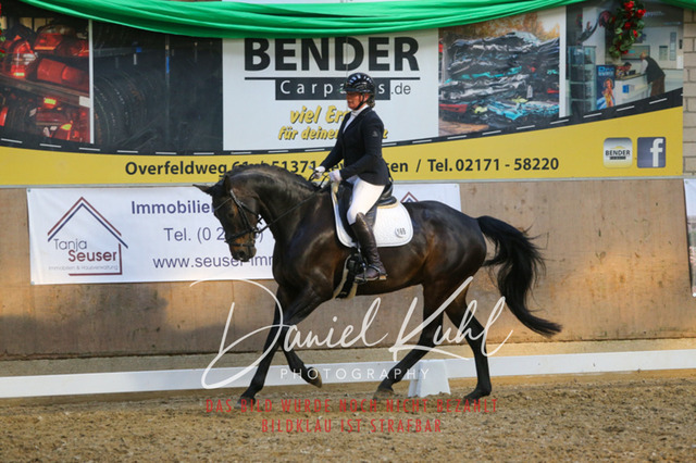 IMG_2638 | Turnierfotos kaufen im Webshop von Daniel Kuhl Photography – entdecke professionelle Reitsportfotos aus Turnieren & Events. Hochwertige Turnierbilder online bestellen & sichern. Jetzt Fotos von Reitsportturnieren kaufen!