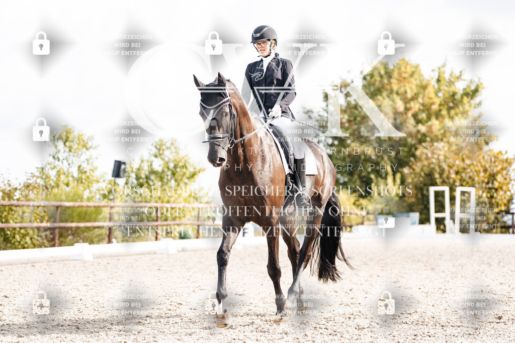CK901722 | Turnierfotografie Pferdefotografie Trier Rheinland-Pfalz Pferdesport Reitsport Tierfotografie Sportfotografie Pferdevideo Pferdevideografie Equestrianvideography equestrianphotography  - Realisiert mit Pictrs.com