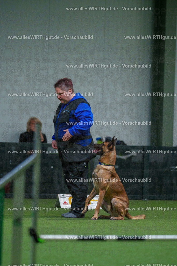 7R503721 | Professionelle Tierfotografie in Mönchengladbach von Daniel Wirth (allesWIRTHgut). Liebevolle & natürliche Bilder von Hunden & Katzen für unvergessliche Erinnerungen.