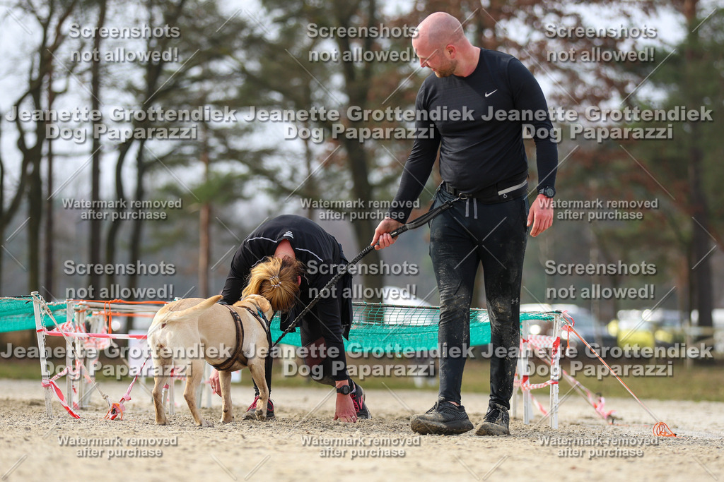 Dog Paparazzi - Strongdog North Mrz26-4853 | Dog Paparazzi Jeanette Grottendiek Fotografie & Videografie - Realisiert mit Pictrs.com