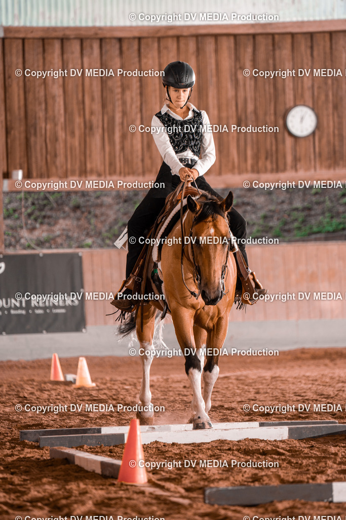 NE300079 | dv-media-shop - Realisiert mit Pictrs.com