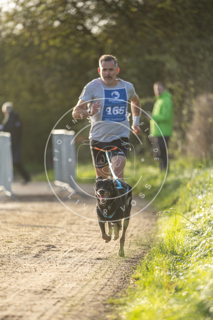 Pfotenfotografie.de_DV3A2652 | Hundefotografie, Tierfotograf, Pfotenfotografie, Fotoshooting Hund, Hunde Portrait, Hundesport, Hundeportraits, Heideshooting, Hunde, Sportfotograf, Hundefotograf, Turnierhundsport, THS, canicross - Realisiert mit Pictrs.com