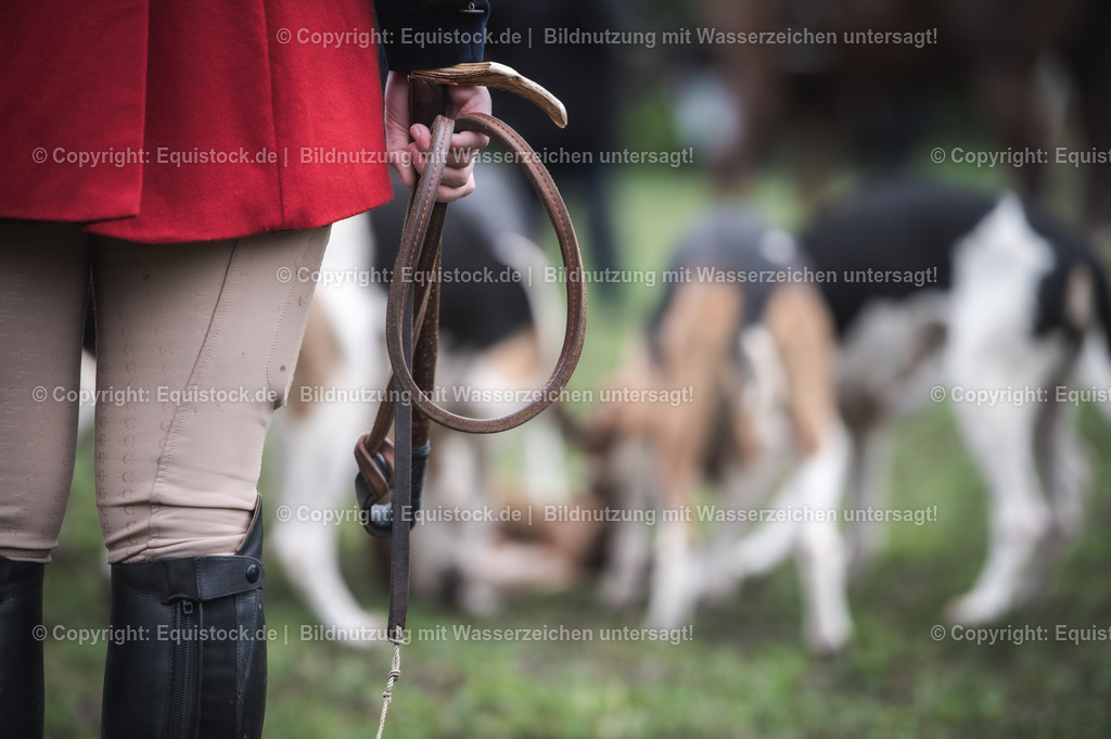 20241013_Jagd-Marbach_0503 | Foto: Thomas Hartig