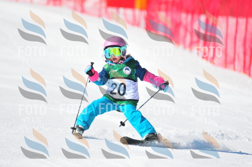 C1939 | holidayphoto