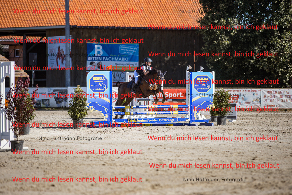 BK1A8077 | Turnierbilder Turnierfotos Nina Hüffmann Turnierfotografie Pferdefotografie Tierzeichnung Haustierzeichnung Pferdezeichnung Hundezeichnung Videograf  - Realisiert mit Pictrs.com