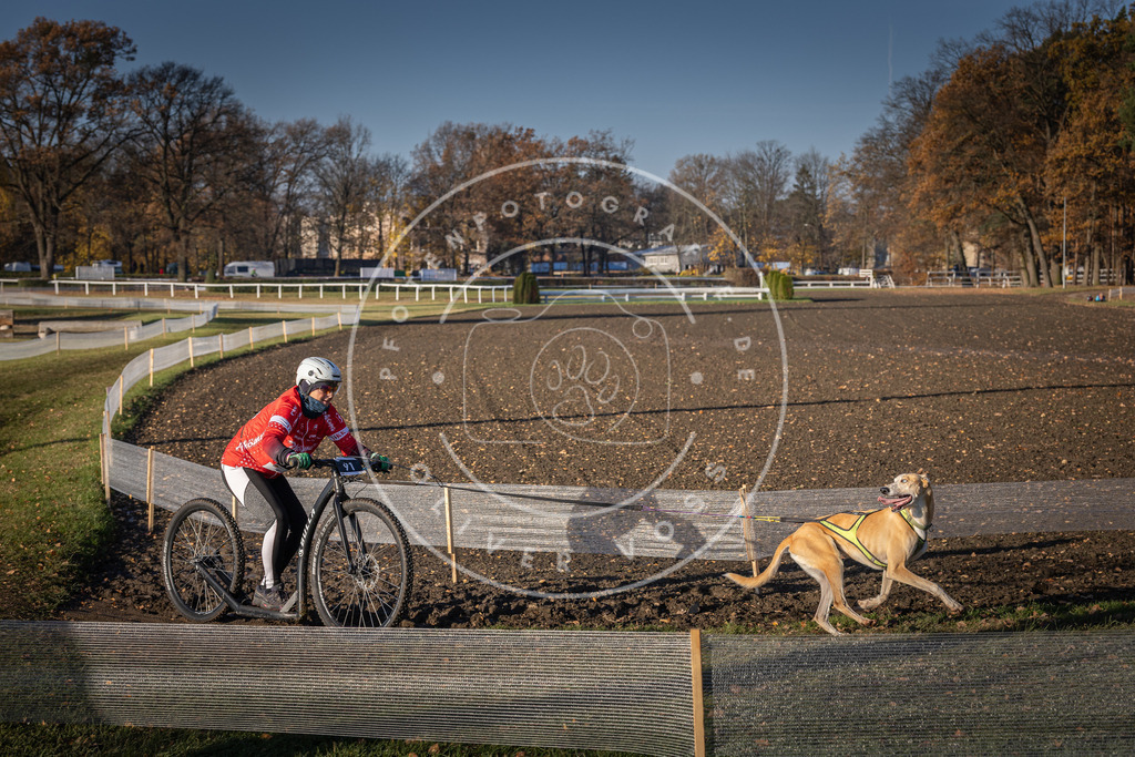 CaniXpix_DV3A1927 | Hundefotografie, Tierfotograf, Pfotenfotografie, Fotoshooting Hund, Hunde Portrait, Hundesport, Hundeportraits, Heideshooting, Hunde, Sportfotograf, Hundefotograf, Turnierhundsport, THS,  - Realisiert mit Pictrs.com