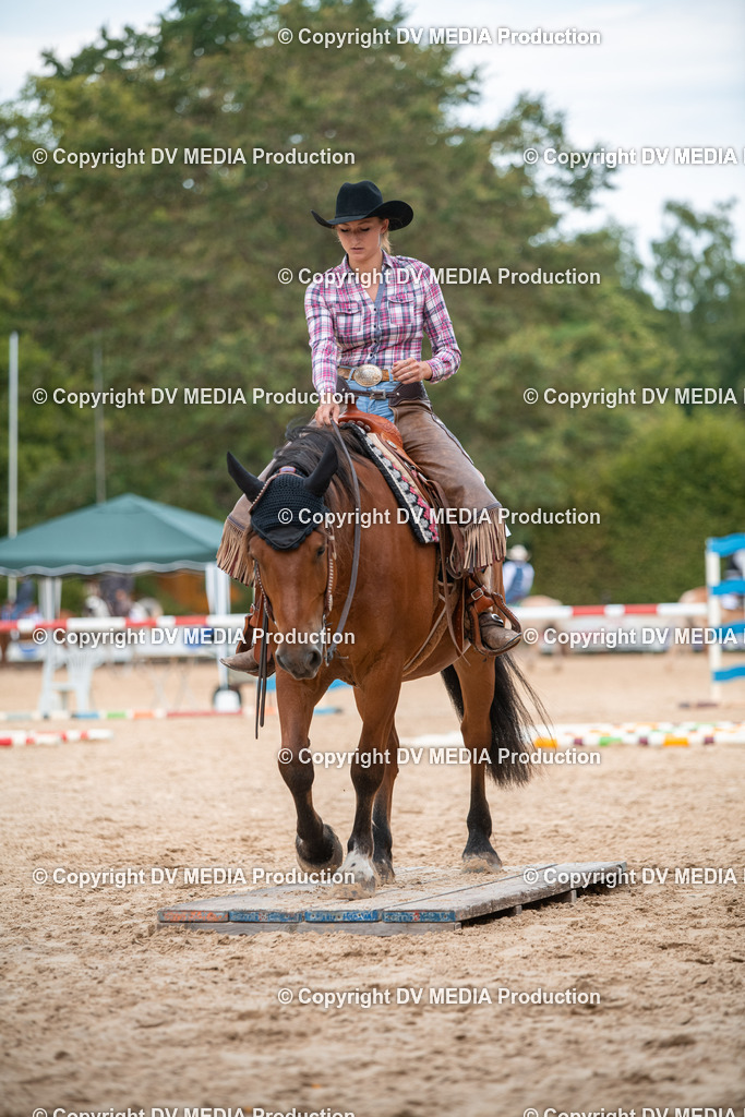 ZS2_8135 | dv-media-shop - Realisiert mit Pictrs.com