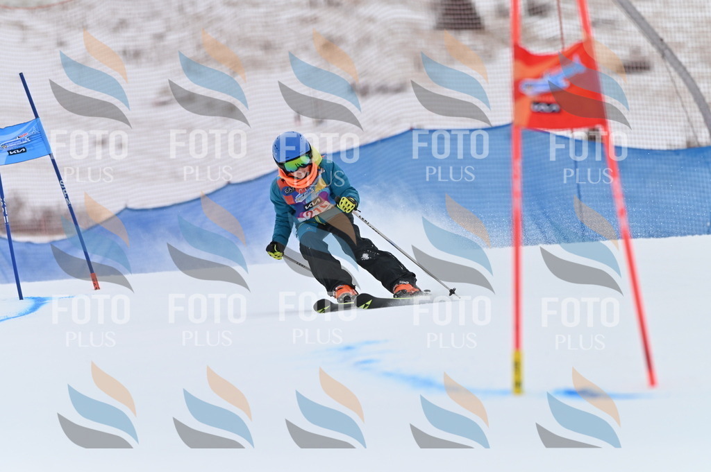 BGV_2398 | holidayphoto