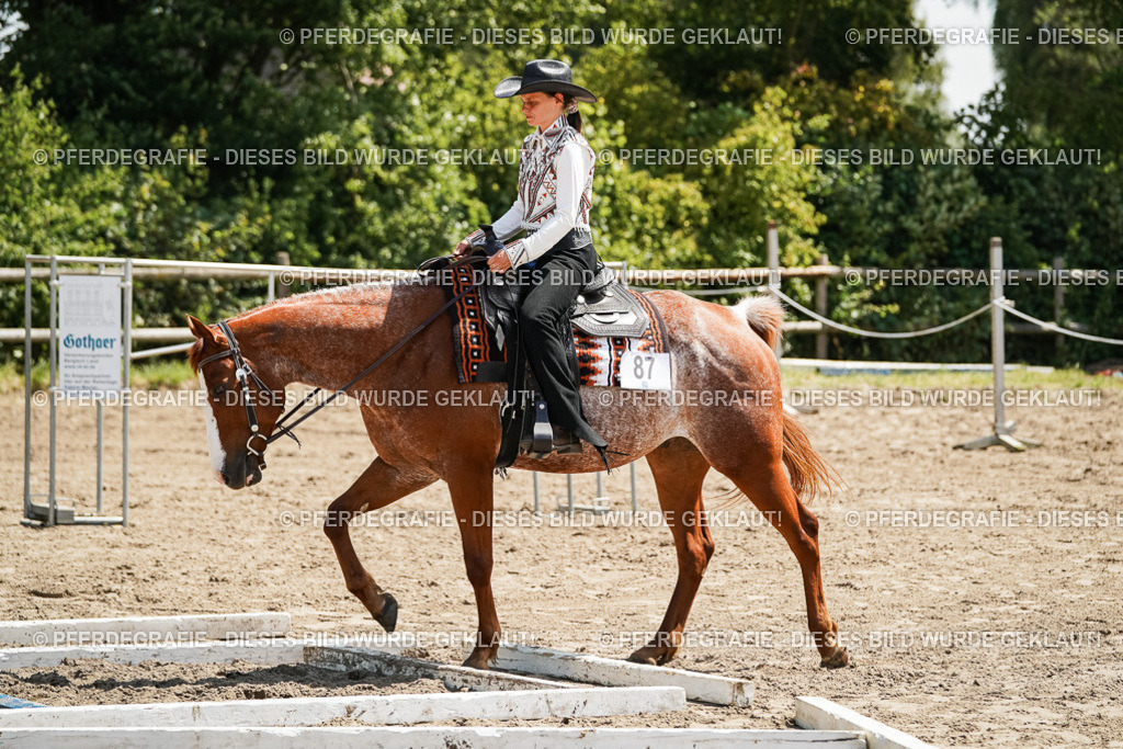 DSC07701 | Pferdegrafie