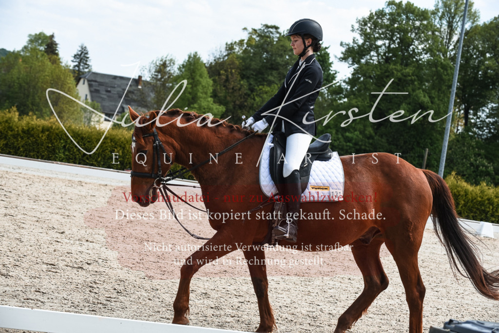 20230518_JK-Röhrsdorf-11-0428 | Pferde- und Turnierfotografie in Westsachsen. Pferdeportraits, Auftragszeichnungen und intuitive Kunst.