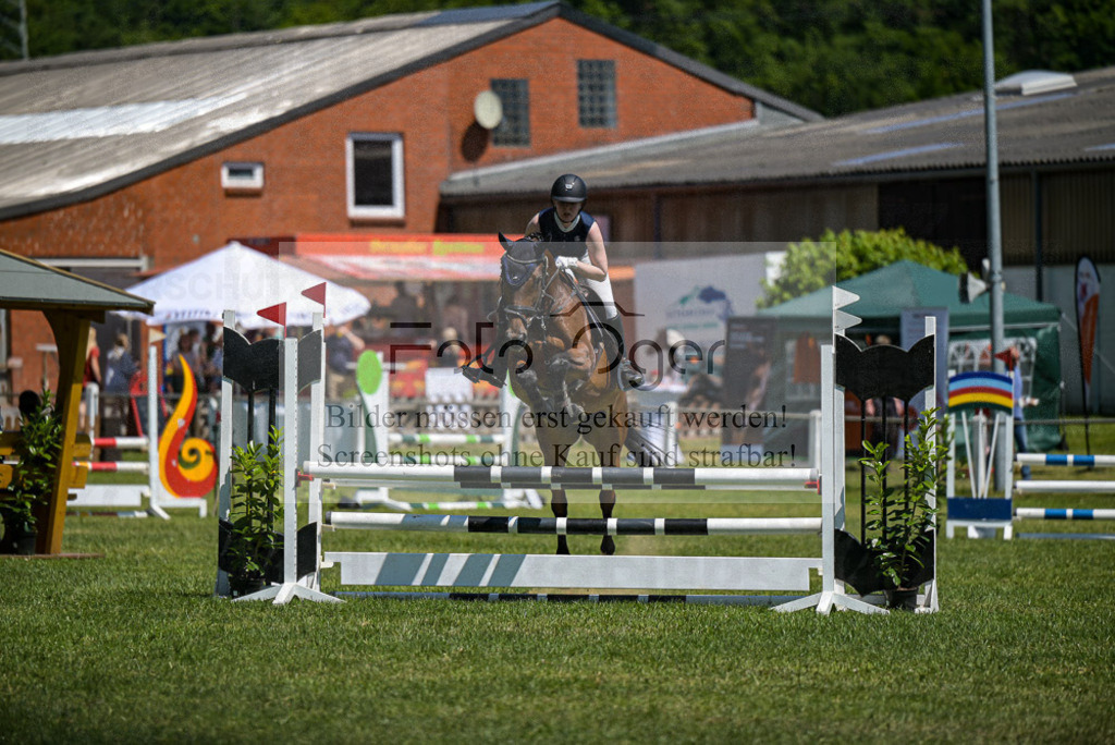 Reitturnier Voxtrup | Entdecke hochwertige Reitturnierfotos von Foto Oger. Professionell, emotional und authentisch – jetzt Lieblingsmomente im Shop bestellen. - Realisiert mit Pictrs.com