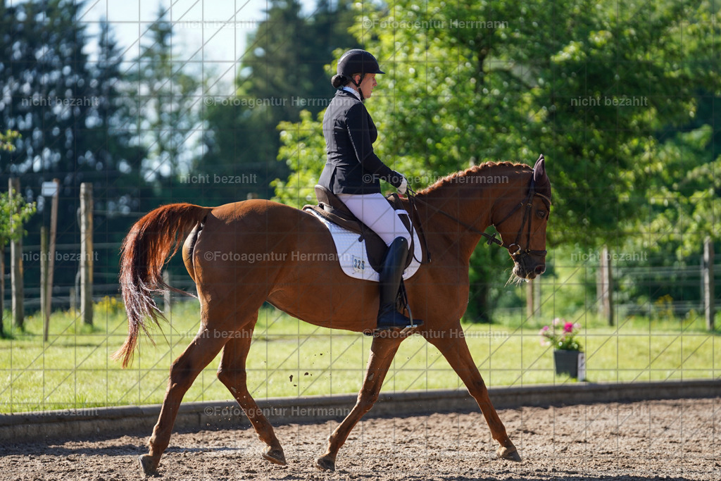 20240519-FAH04494 | Turnierbilder Niederseeon 2024, Vielseitigkeitsdressur, Reitsportbilder aus dem Landkreit Ebersberg, Gut Steinsee, RC Steinsee, Fotoagentur Herrmann