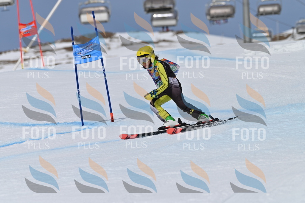 BGV_5965 | holidayphoto