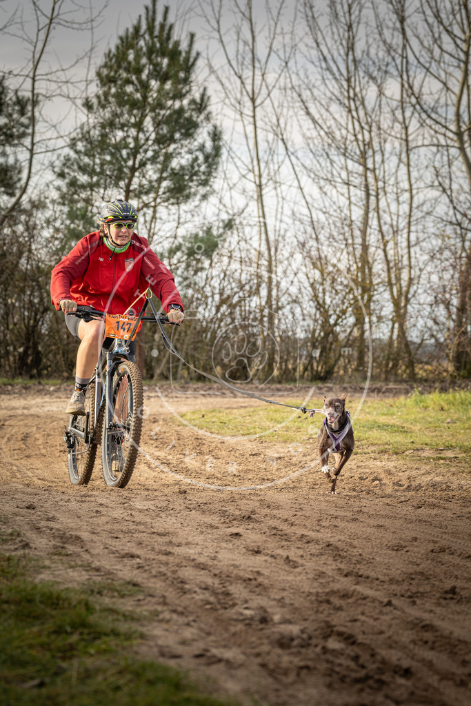 Pfotenfotografie_DV3A8921 | Hundefotografie, Tierfotograf, Pfotenfotografie, Fotoshooting Hund, Hunde Portrait, Hundesport, Hundeportraits, Heideshooting, Hunde, Sportfotograf, Hundefotograf, Turnierhundsport, THS,  - Realisiert mit Pictrs.com