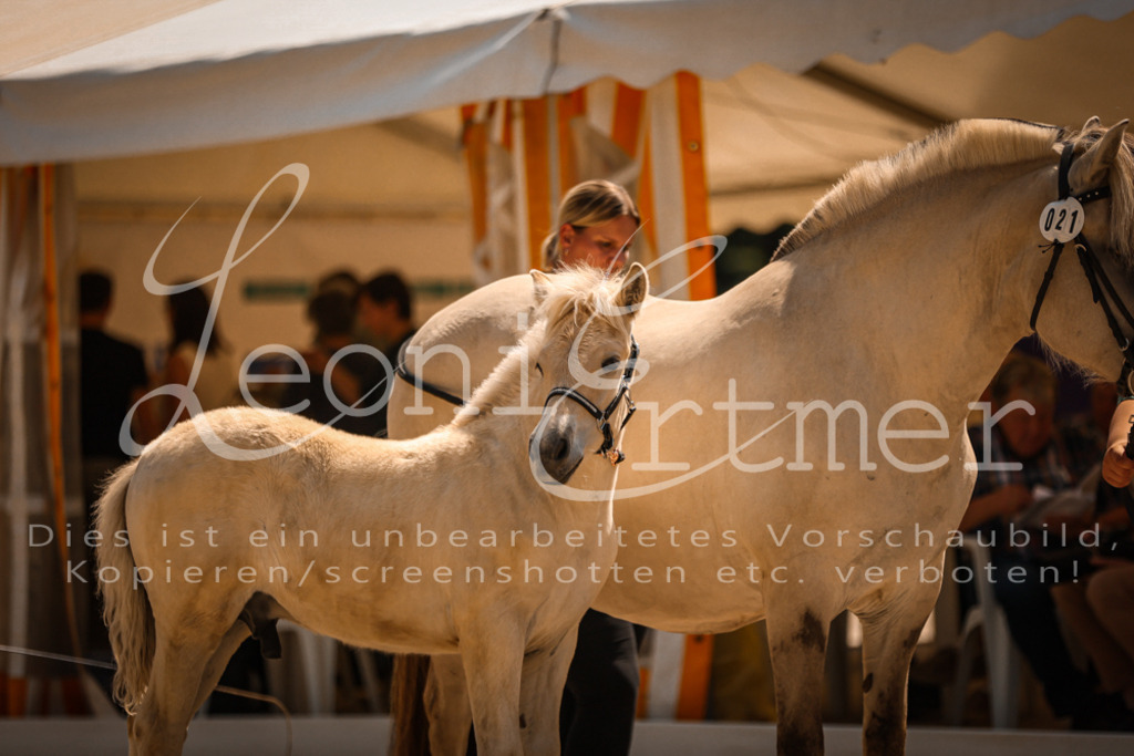 05.DoF00101 | Leoni Ertmer Photography - Realisiert mit Pictrs.com