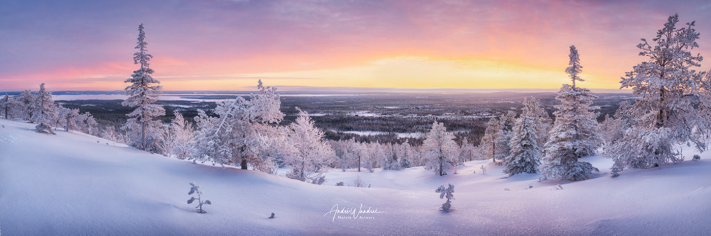 Wintertraum Lappland | Andre Wandrei - Nature Artworx - Realisiert mit Pictrs.com
