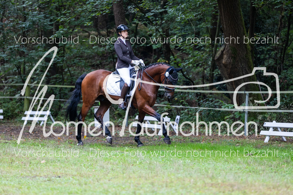 HB-A-Dressur-007 | MomenTaufnahmen Pferdesportfotos