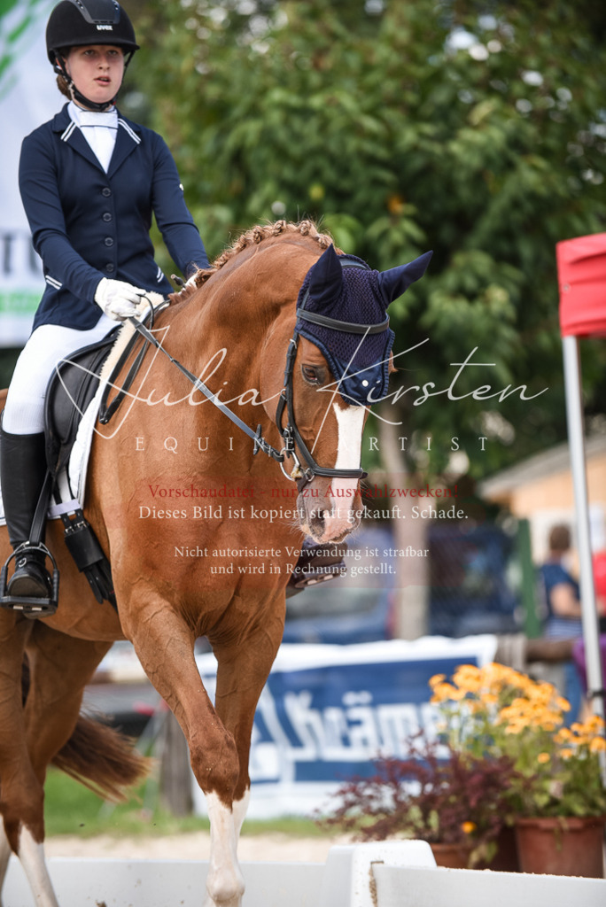 DSC_9373 | Pferde- und Turnierfotografie in Westsachsen. Pferdeportraits, Auftragszeichnungen und intuitive Kunst.