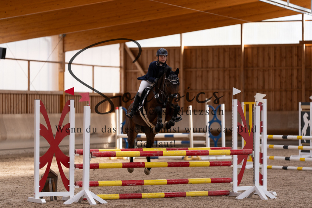 A7507780 | Pferdefotograf