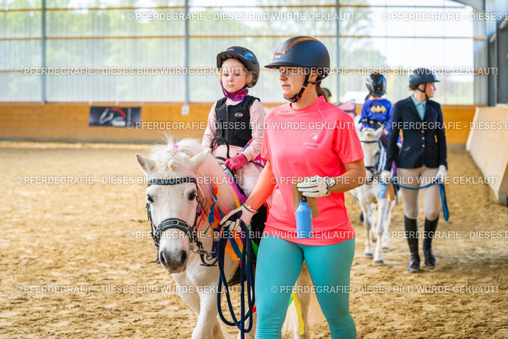 DSC00368 | Pferdegrafie