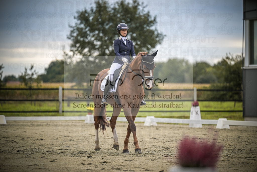 DOS_1587 | Entdecke hochwertige Reitturnierfotos von Foto Oger. Professionell, emotional und authentisch – jetzt Lieblingsmomente im Shop bestellen.Deutschlandweite Turnierfotografie. - Realisiert mit Pictrs.com