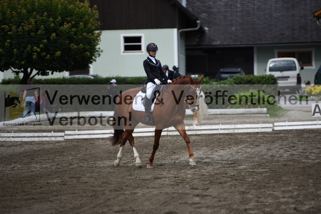 DSC_5110 | equestrian-live-com