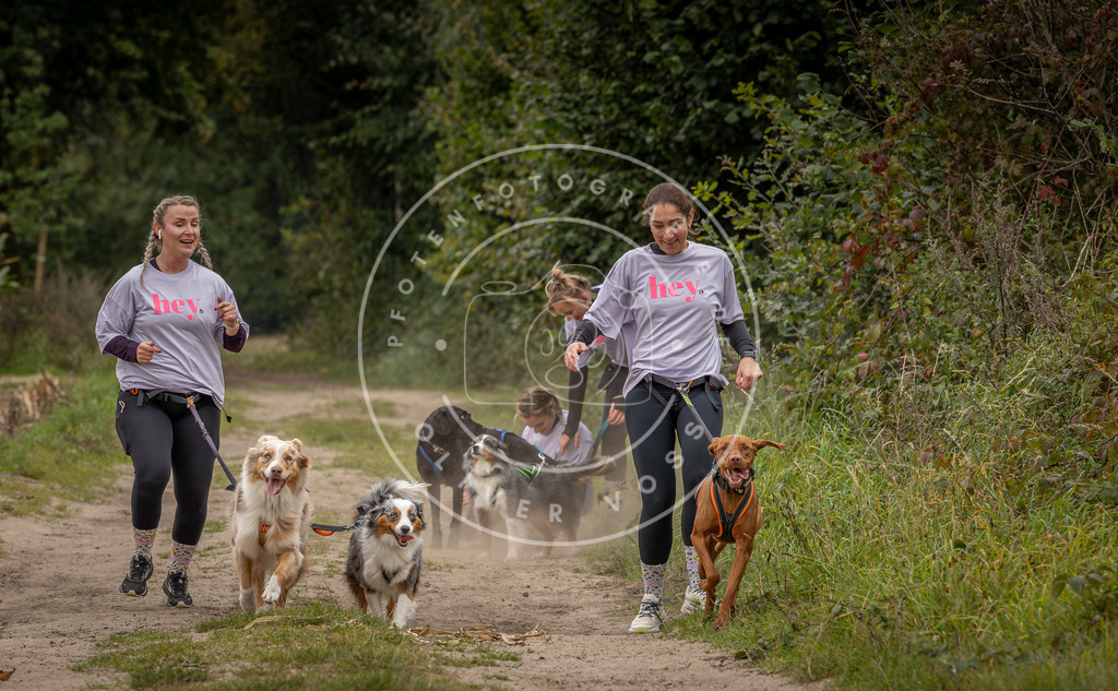 Pfotenfotografie_DV3A7110 | Hundefotografie, Tierfotograf, Pfotenfotografie, Fotoshooting Hund, Hunde Portrait, Hundesport, Hundeportraits, Heideshooting, Hunde, Sportfotograf, Hundefotograf, Turnierhundsport, THS,  - Realisiert mit Pictrs.com