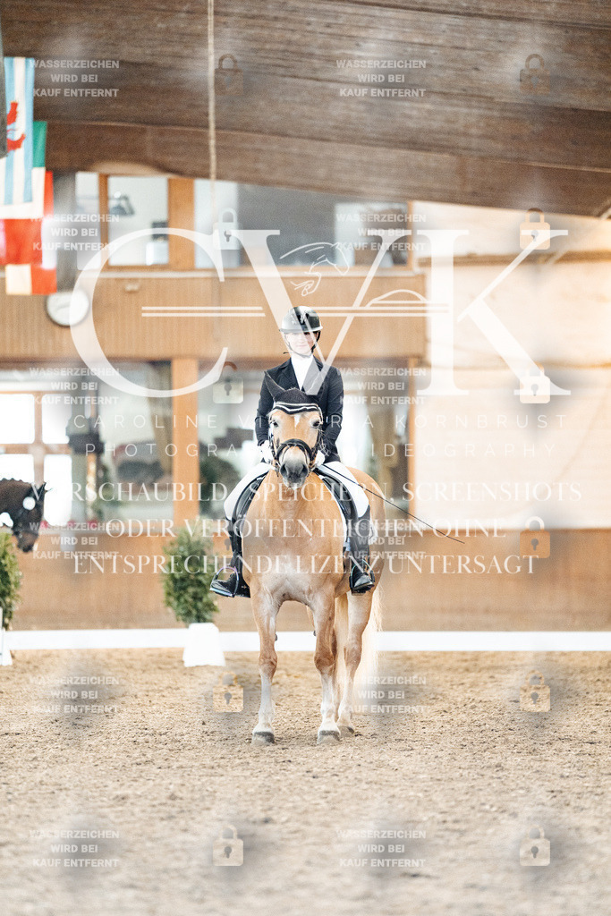 CK907021 | Turnierfotografie Pferdefotografie Trier Rheinland-Pfalz Pferdesport Reitsport Tierfotografie Sportfotografie Pferdevideo Pferdevideografie Equestrianvideography equestrianphotography  - Realized with Pictrs.com
