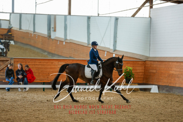 _62_6828 | Turniersportfotografie; Pferdefotografie; Dressurfotografie