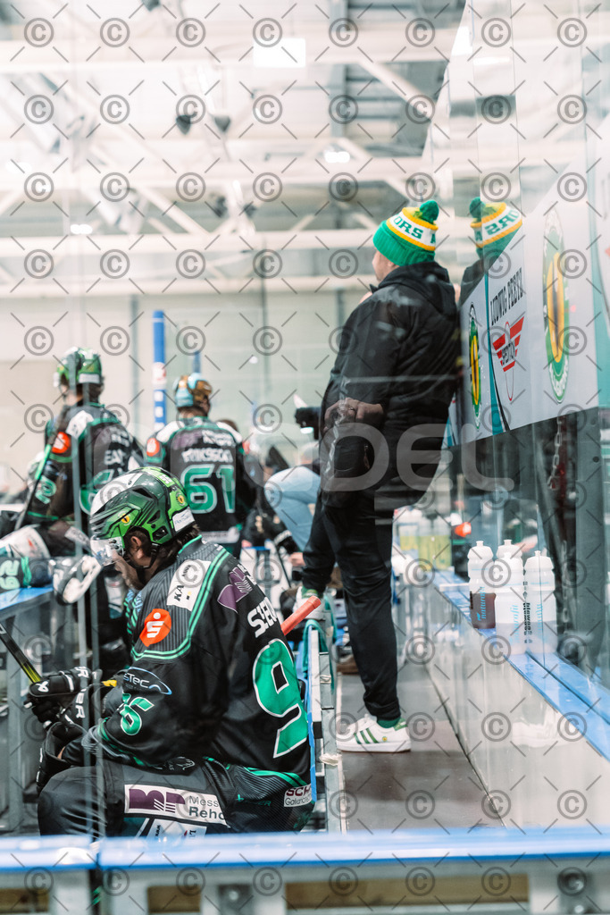 Alligators_vs_Peiting_25_11_2025-57 | Höchstadt Alligators Fotogalerie: Eishockey-Action aus Franken. Professionelle Spielfotos, Portraits & Stadionbilder zum Download. Jetzt entdecken! - Realisiert mit Pictrs.com