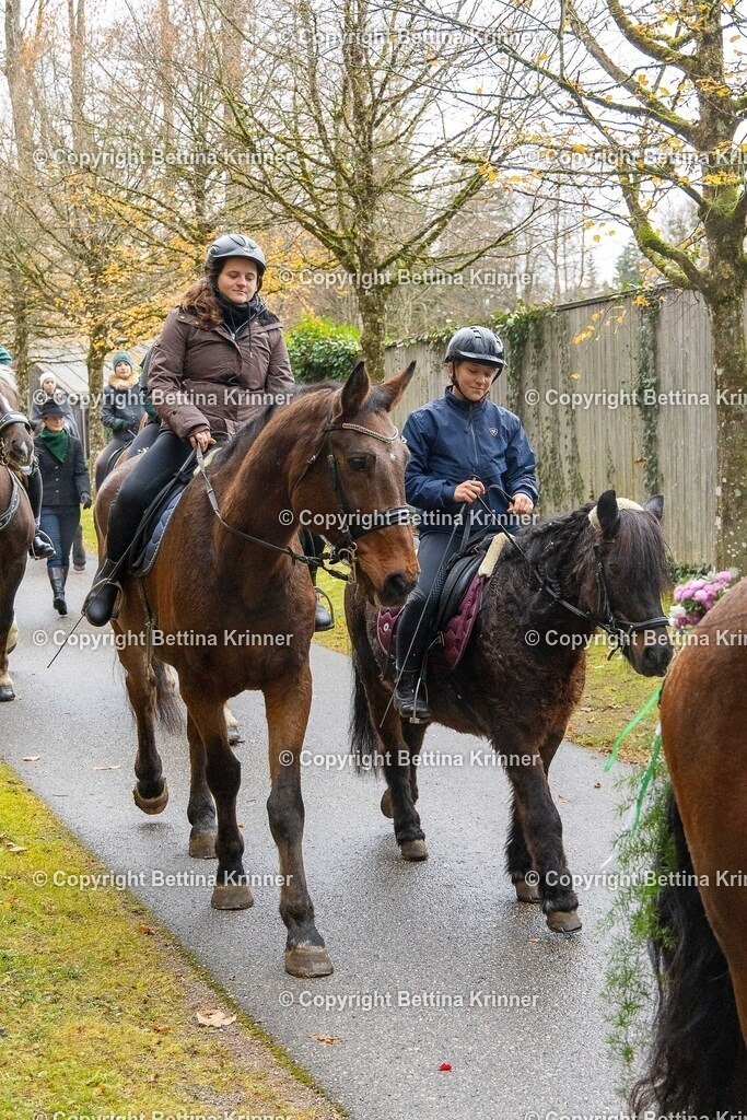 LL25-254 | foto-bettina-krinner - Realisiert mit Pictrs.com