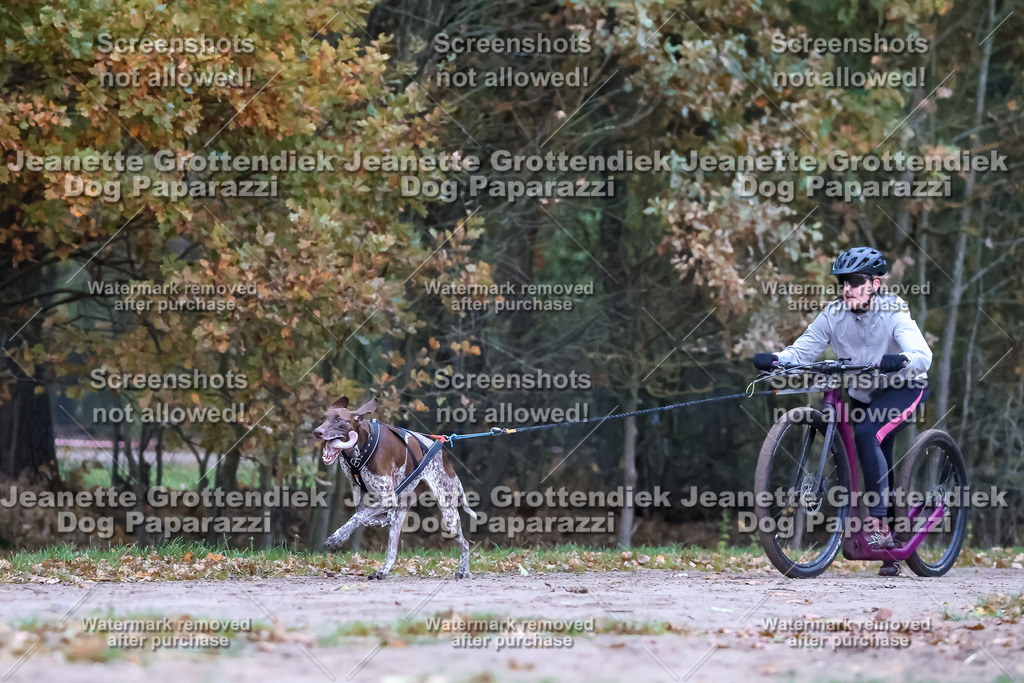 Dog Paparazzi - SD CaniX Championship 2025-30 | Dog Paparazzi Jeanette Grottendiek Fotografie & Videografie - Realisiert mit Pictrs.com