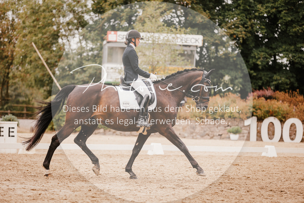 3I6A5843 | Stimmungsvolle Portraits und Reitsportfotografie im Ruhrgebiet und im Münsterland.

Pferdefotografie, Hundefotografie, Tierfotografie, Reportagen, Portraits von Tier und Mensch, Turnierfotografie in Bochum, Recklinghausen, Marl, Haltern am See, Dülmen.. - Realisiert mit Pictrs.com