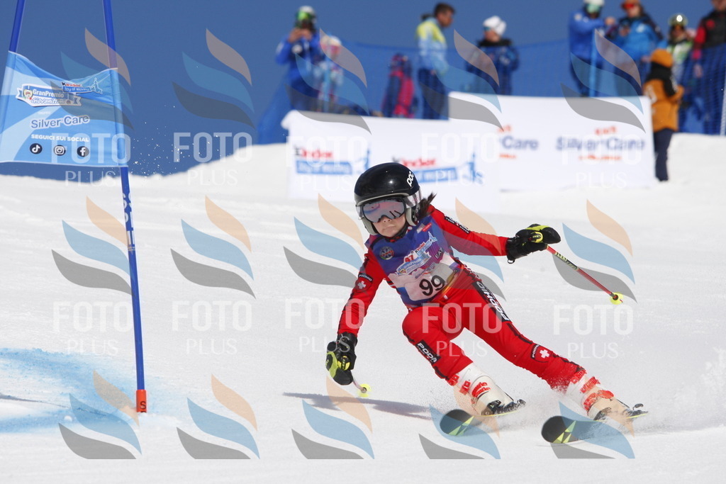 _W1G1465 | holidayphoto