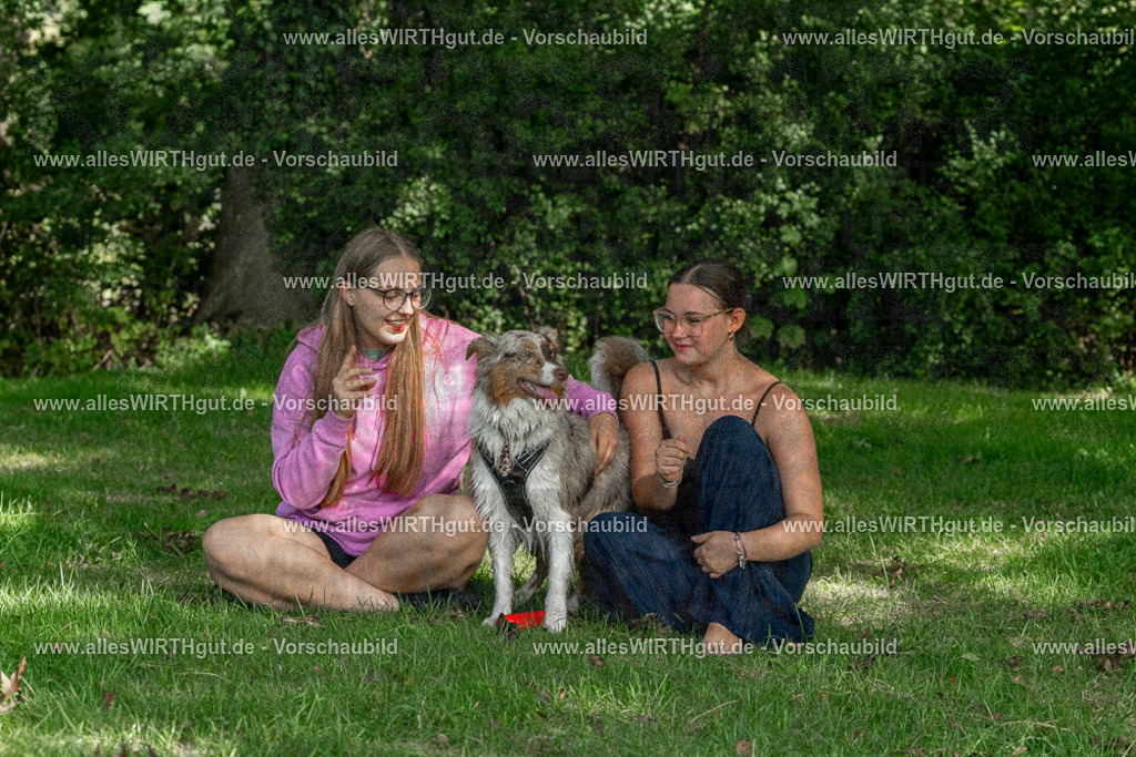 Hundeschwimmen_Volksbad_2026-allesWIRTHgut_Tierfotografie-2609061405-FAY06884 | Professionelle Tierfotografie in Mönchengladbach von Daniel Wirth (allesWIRTHgut). Liebevolle & natürliche Bilder von Hunden & Katzen für unvergessliche Erinnerungen.