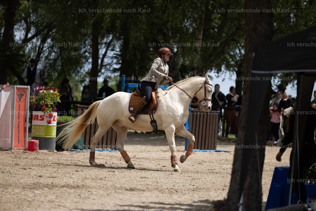 Masterclass_stoibphotography_C2_C7967.CR3 | working equitationturnier fotograf videograf stoibphotography marixx film working equitation deutschland reitsport turnierfotografie eventfotografie equestrian events