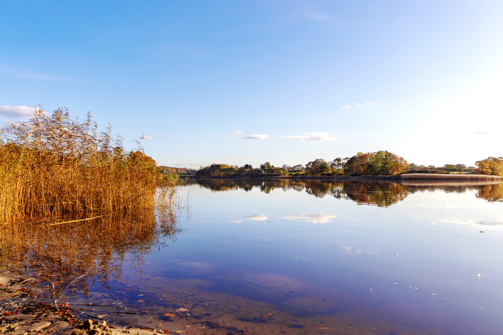 Wandbild: Schöne Spiegelung auf der Schlei in Lindaunis | Dieses Wandbild im Querformat zeigt die ruhige Schlei auf der sich die Bäume, Schilf und der Himmel inklusive Wolken spiegeln.  - Realisiert mit Pictrs.com