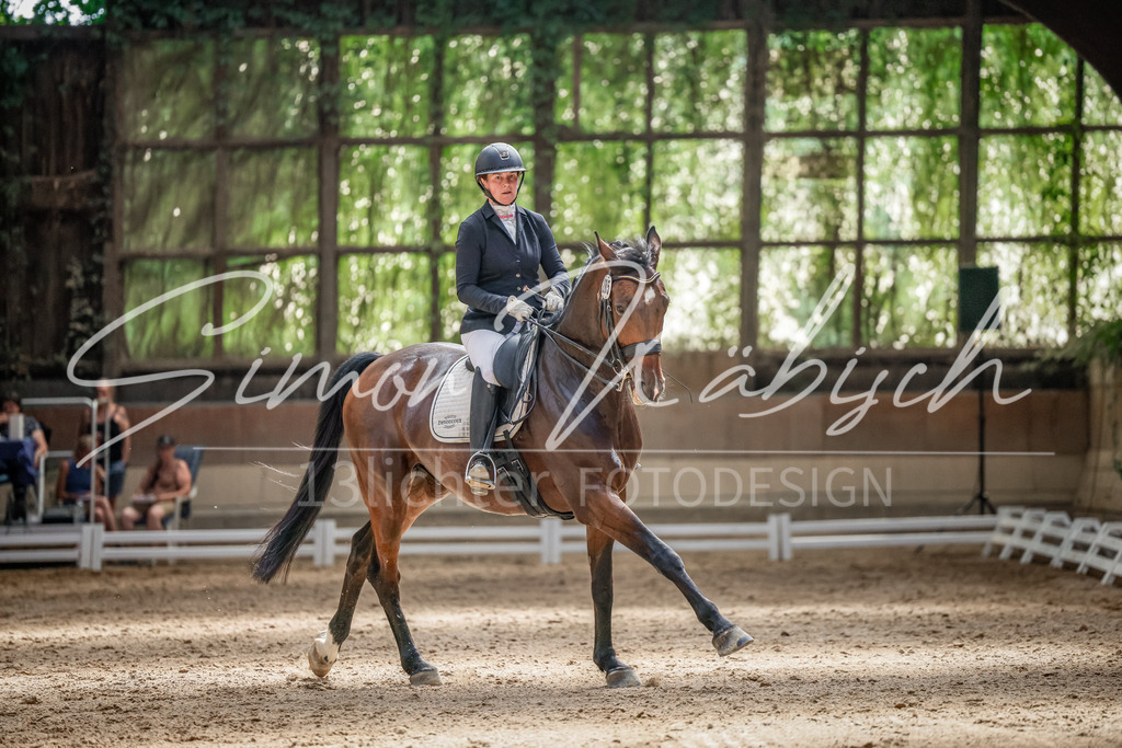 20250621-_3LI0070 | Tierfotografie Pferde, Hunde, Katzen, Haustiere.
Turnierfotografie Reitturniere, Reiten, Springreiten, Dressur in Hanau, dem Main-Kinzig-Kreis und dem Rhein-Main- Gebiet um Frankfurt