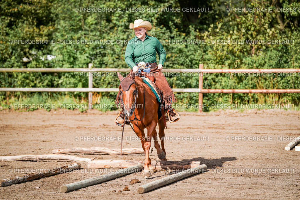 DSC00164 | Pferdegrafie