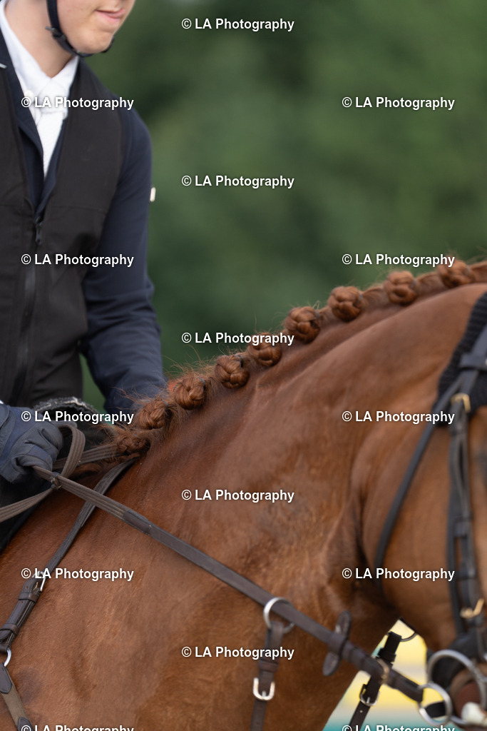 DSC03771 | Entdecke einzigartige Turnierfotos und persönliche Pferde- und Hundeportraits bei LA Photography. Für jeden Reiter und Pferd das perfekte Bild! Stöbere jetzt! - Realisiert mit Pictrs.com